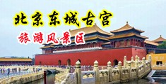 喷水后入孕妇内射中国北京-东城古宫旅游风景区